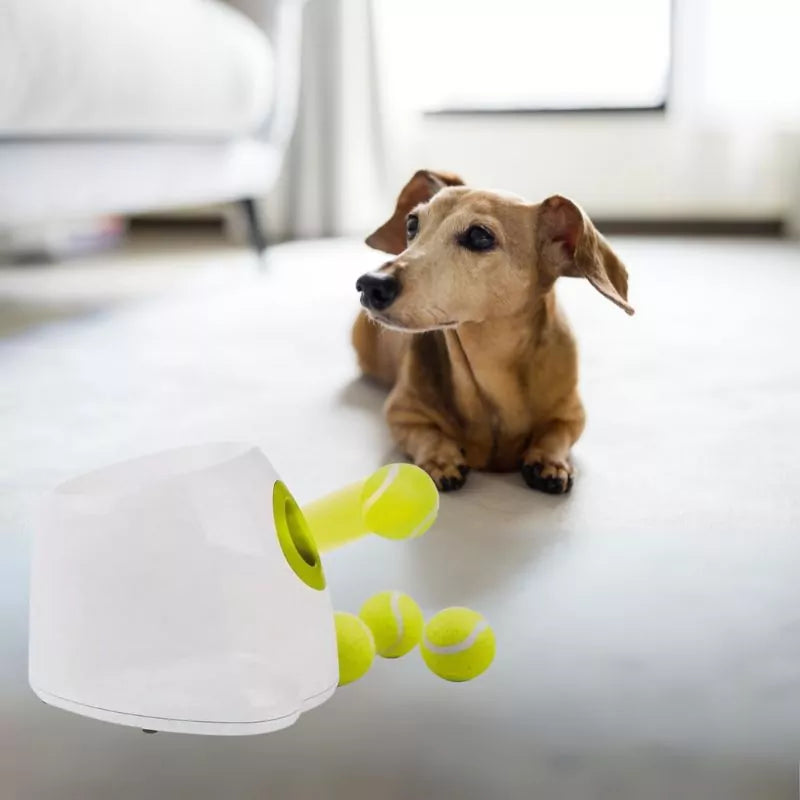 Tennis Ball Launcher for Dachshunds