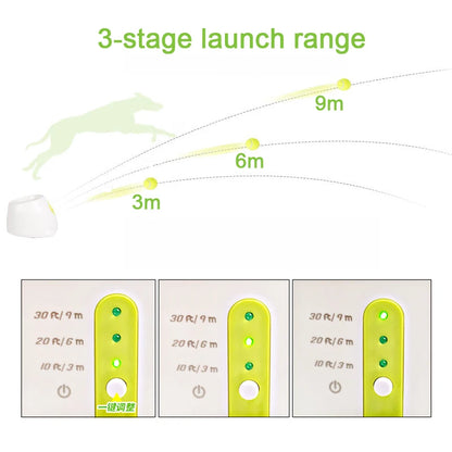 Tennis Ball Launcher for Dachshunds