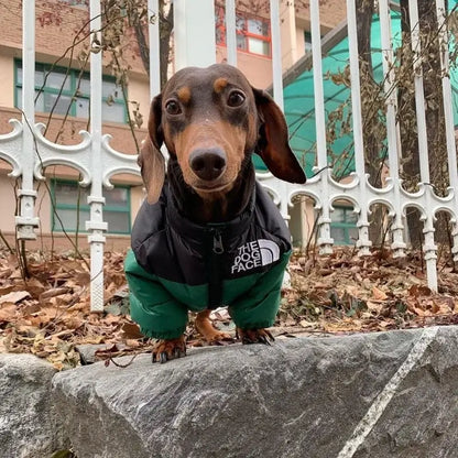 The Dog Face Puffer Jacket