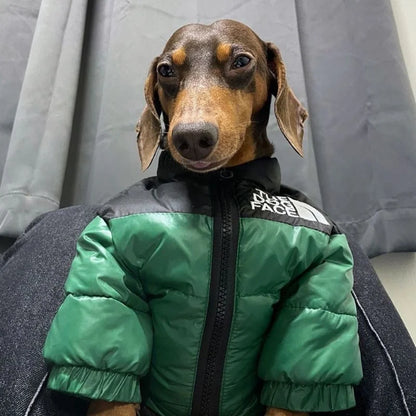 The Dog Face Puffer Jacket