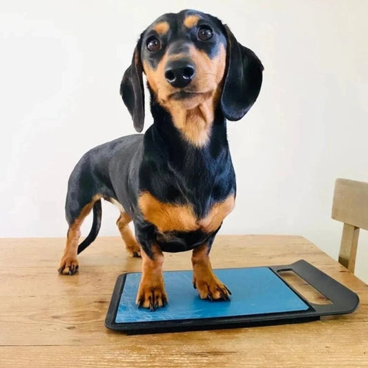 The Original Dog Nail Scratch Pad