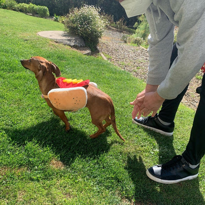 Hot Dog Dachshund Costume