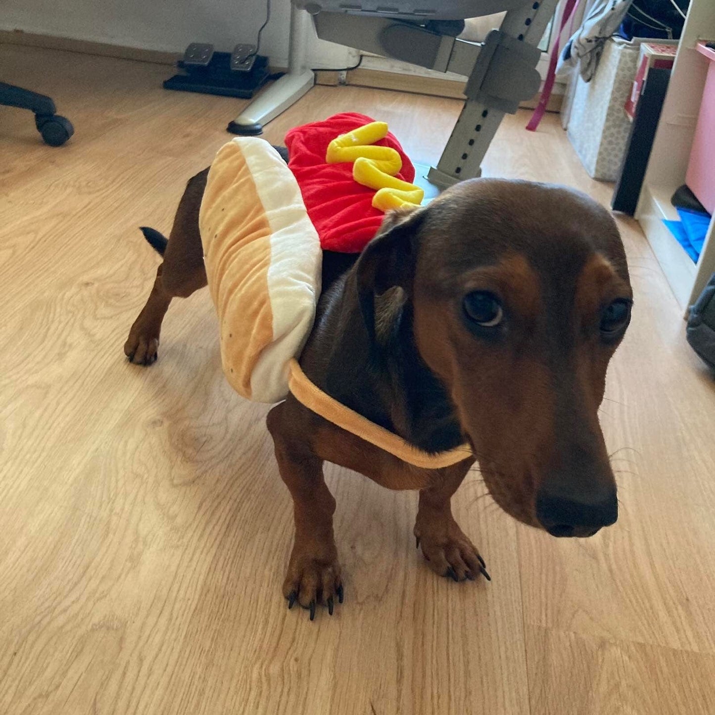 Hot Dog Dachshund Costume