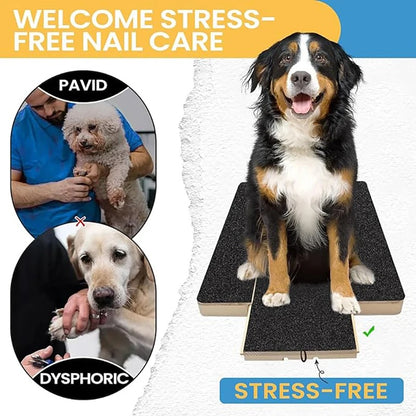 Easy Paw Nail File Board