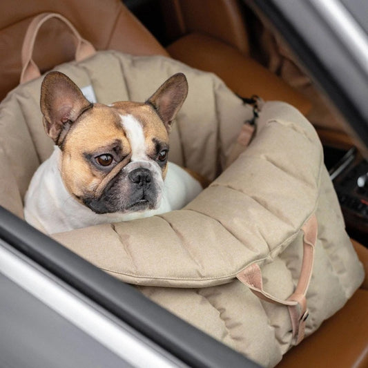 Luxury Portable Pet Travel Bag