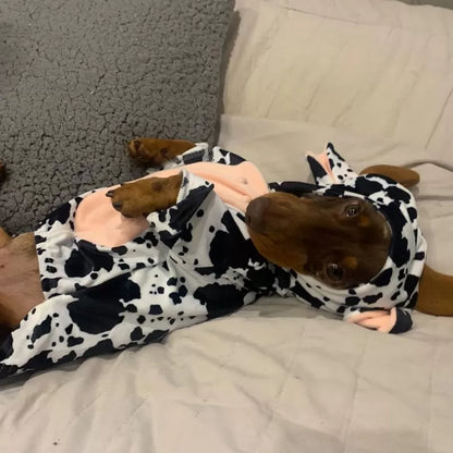 Cow Sausage Dog Pyjama