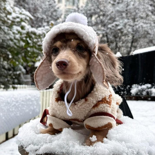 Dachshund Winter Hat