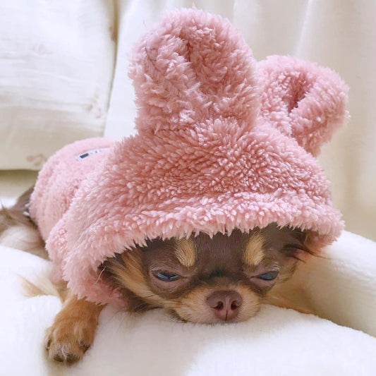 Chihuahua Rabbit Costume