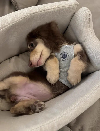 Luxury Console Dachshund Car Seat