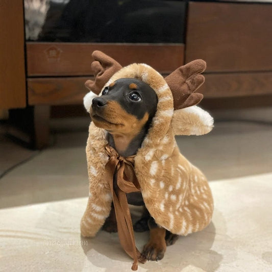 Reindeer Dachshund Costume