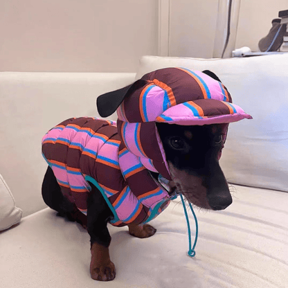 Reversible Wiener Dog Jacket