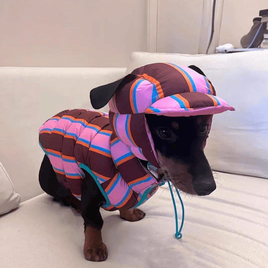 Reversible Wiener Dog Jacket
