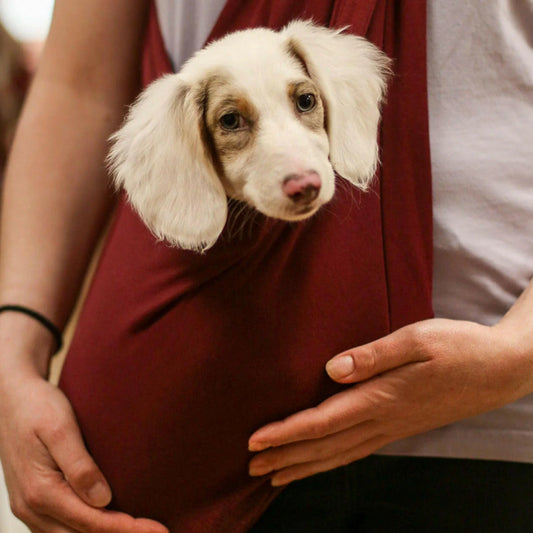 Pet Carrier Sling™