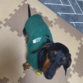 The Dog Face Dachshund Fleece Jacket