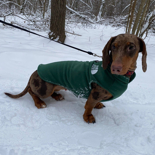 The Dog Face Dachshund Fleece Jacket