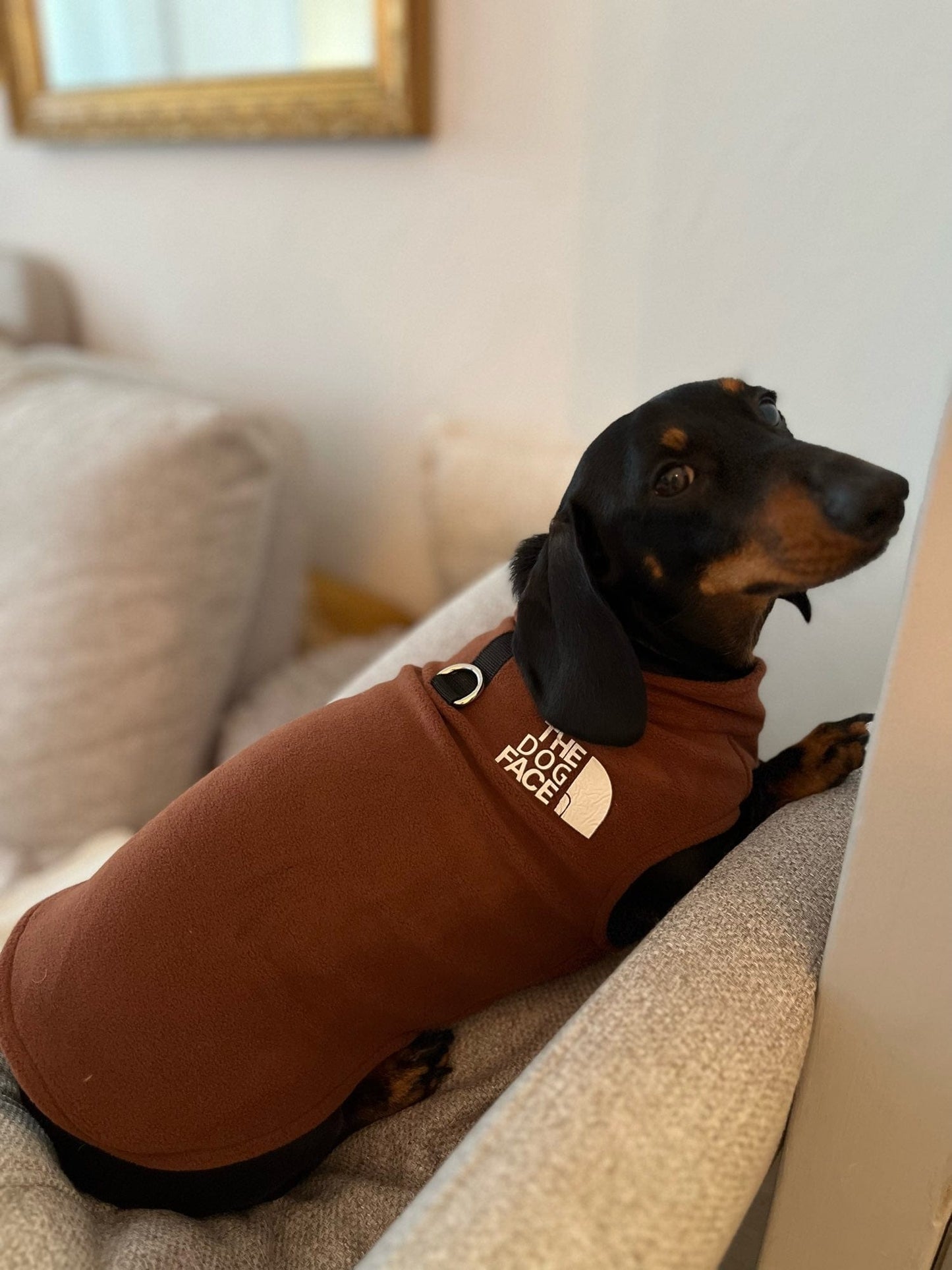 The Dog Face Dachshund Fleece Jacket