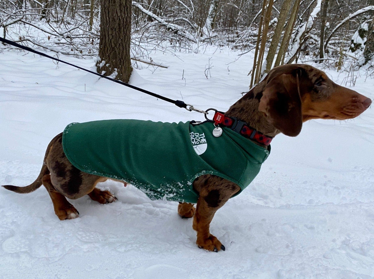 The Dog Face Dachshund Fleece Jacket