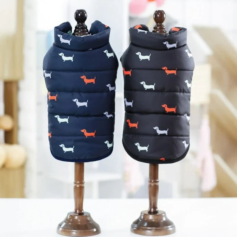 Milo Dachshund Jacket