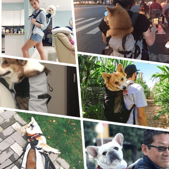 Dog Travel Backpack